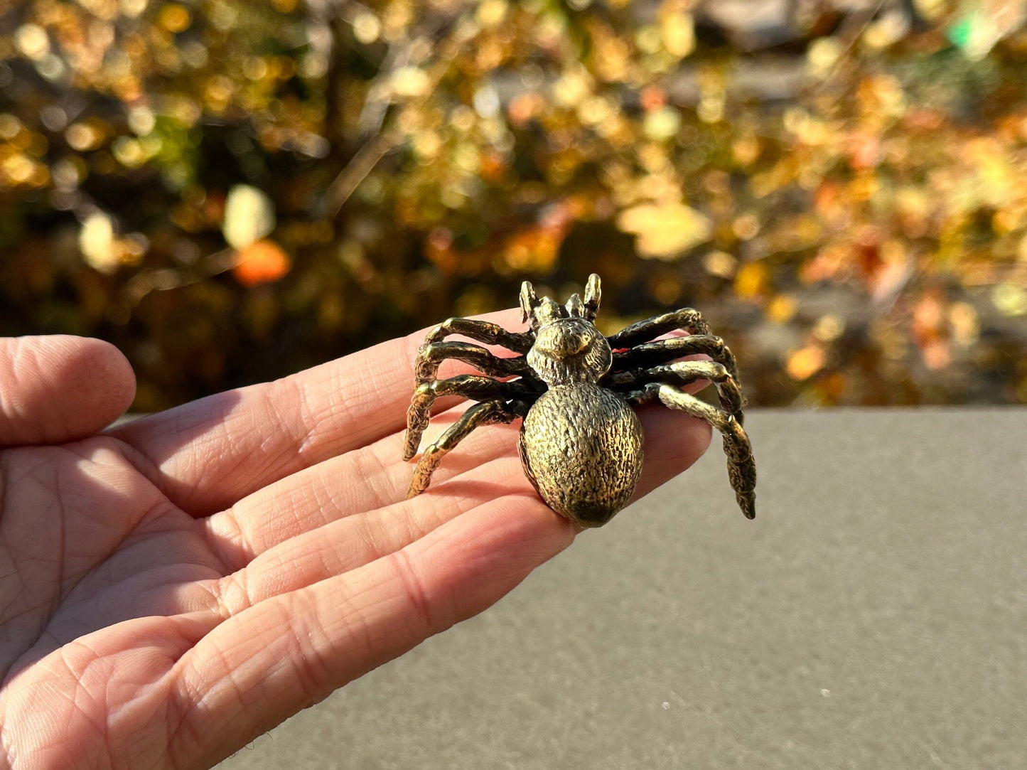 Brass spider antique