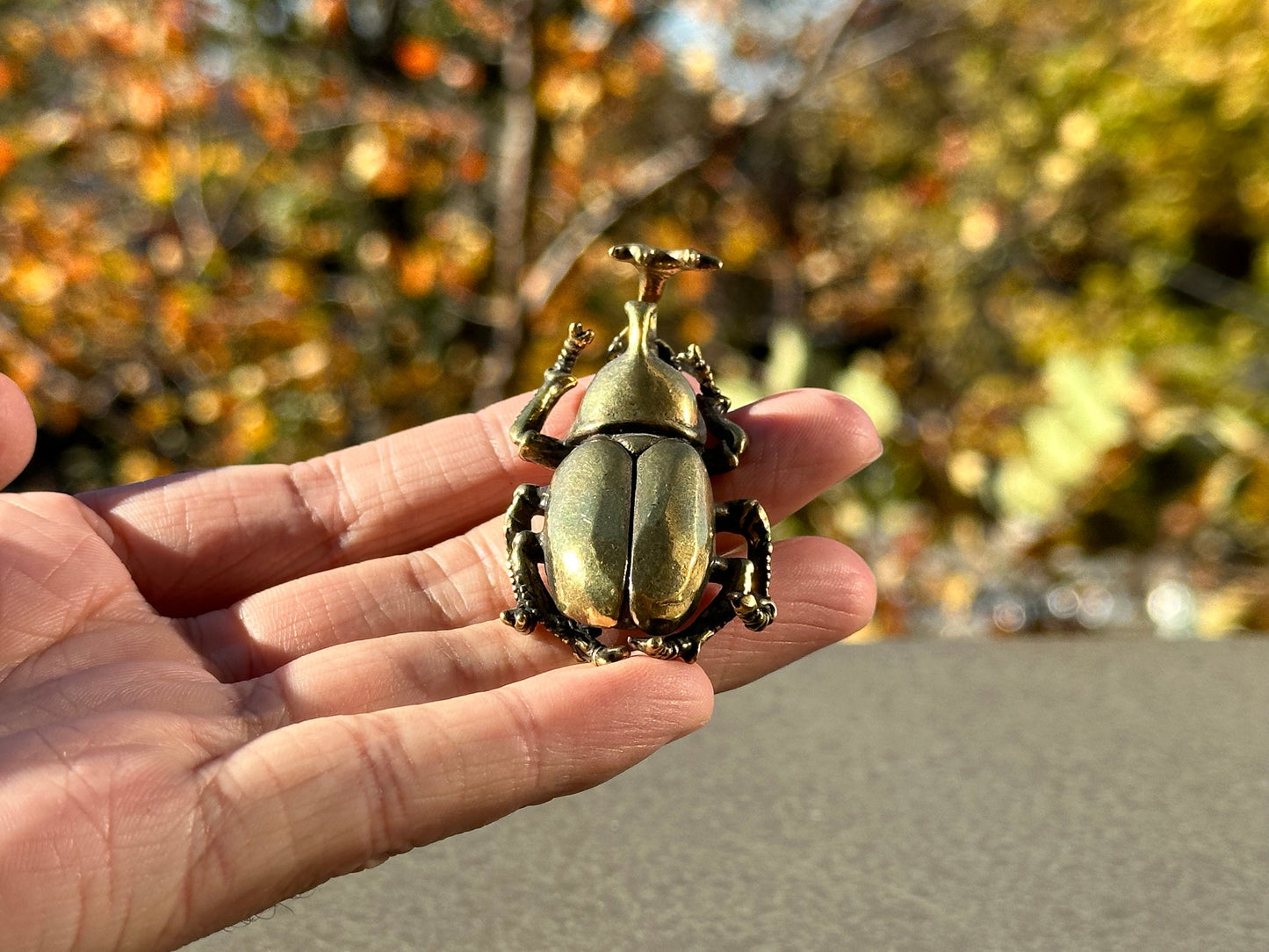 Brass beatle antique