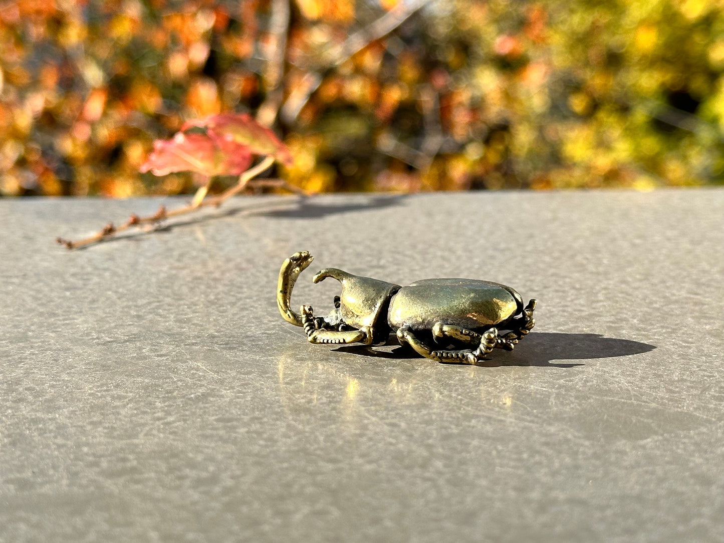 Brass beatle antique