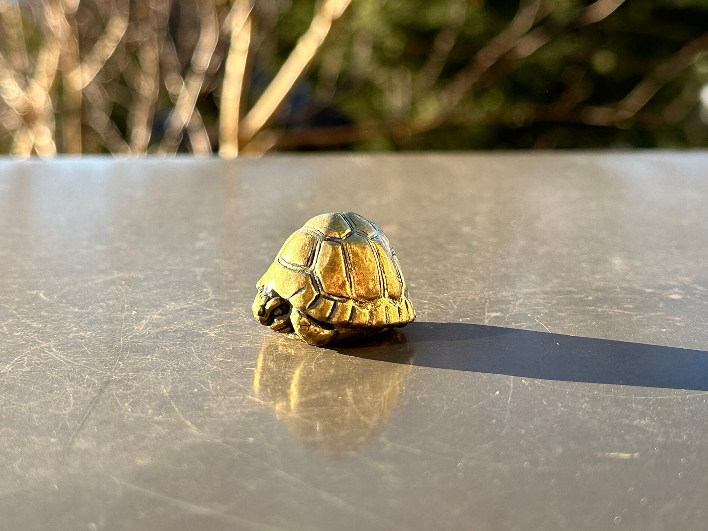 Brass turtle