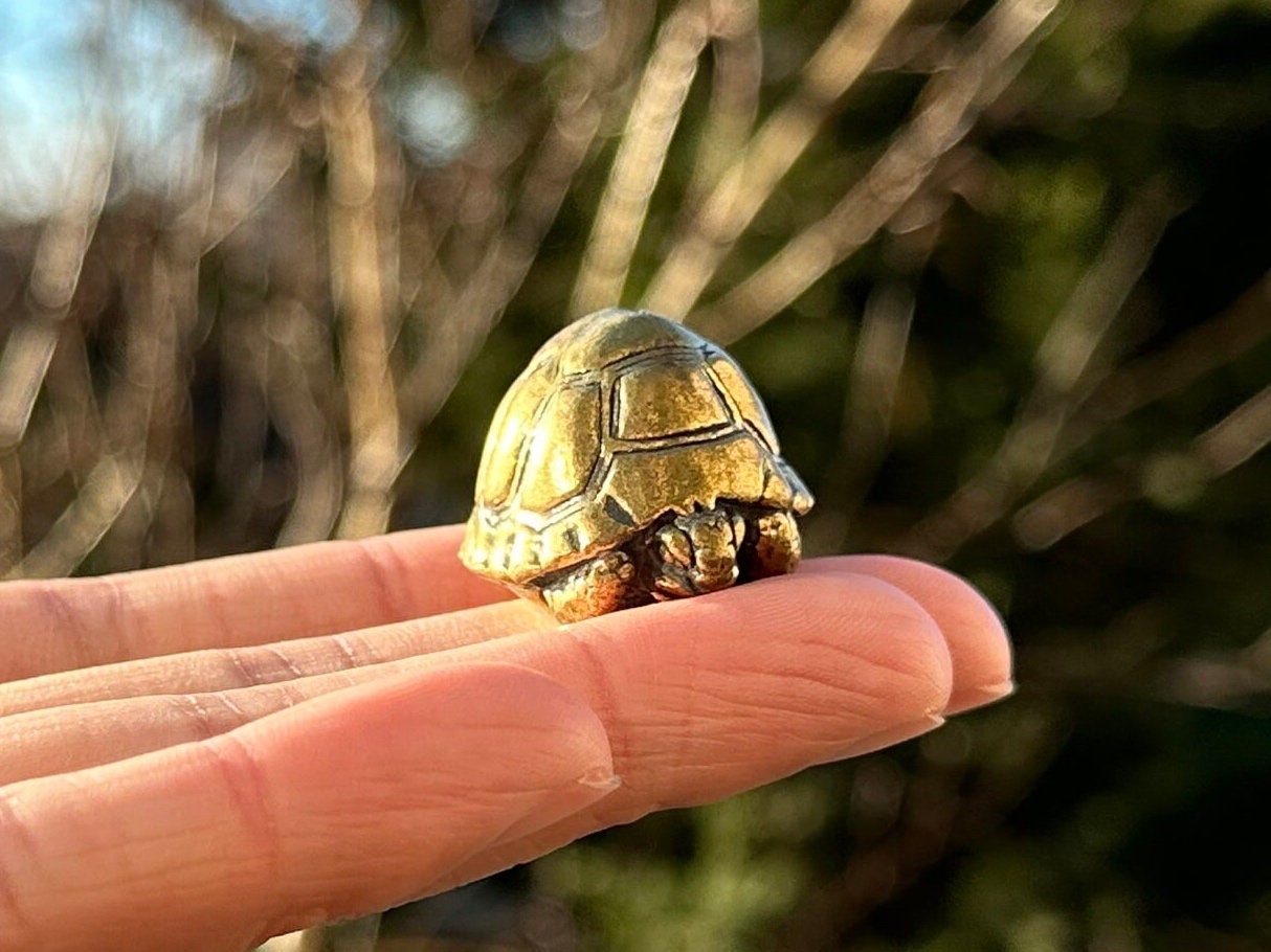 Brass turtle