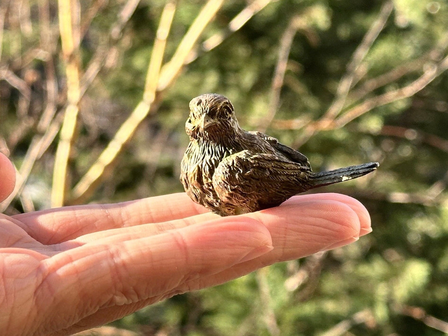 Brass bird magpie