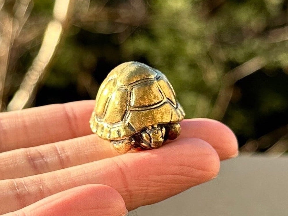 Brass turtle