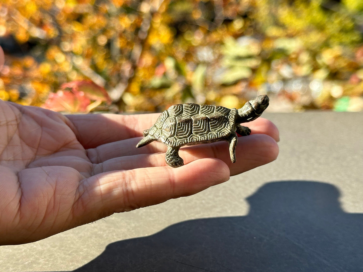 Brass turtle antique