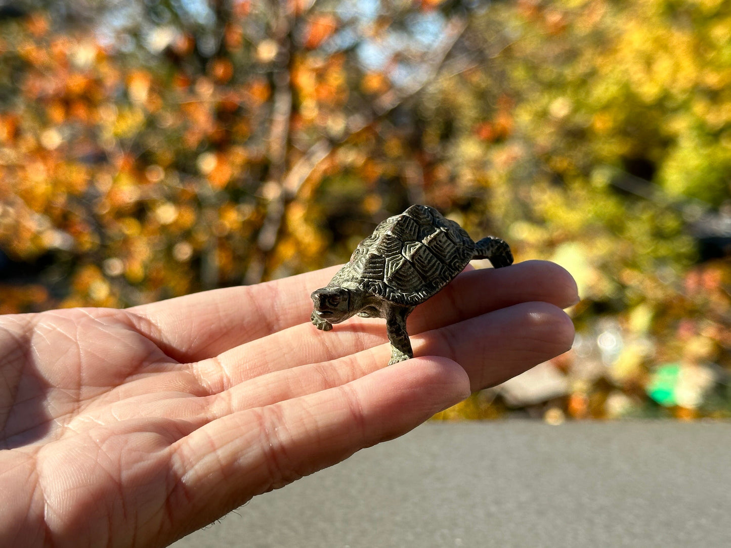 Brass turtle antique