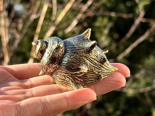 Brass conch shell