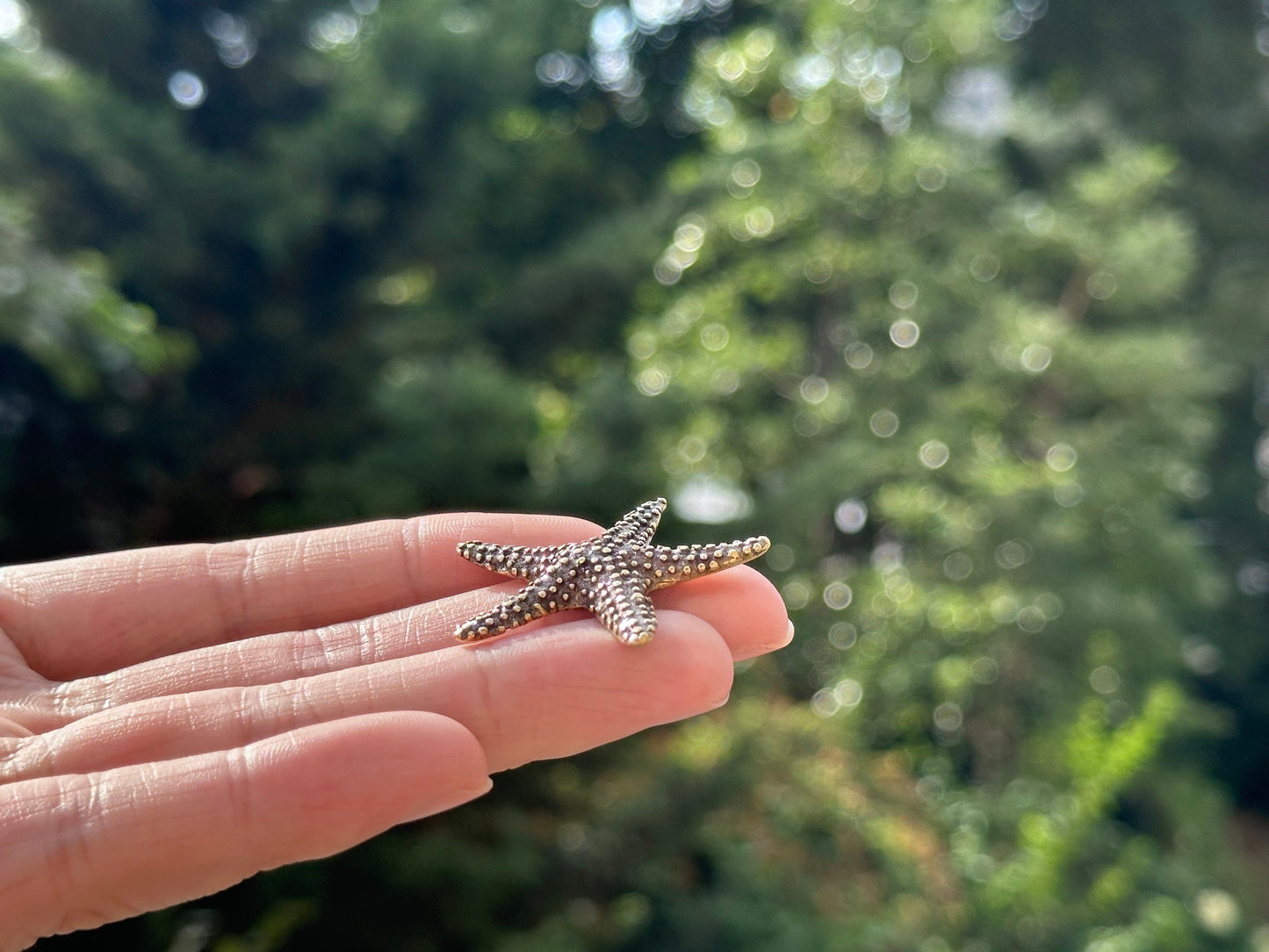 Brass starfish antique