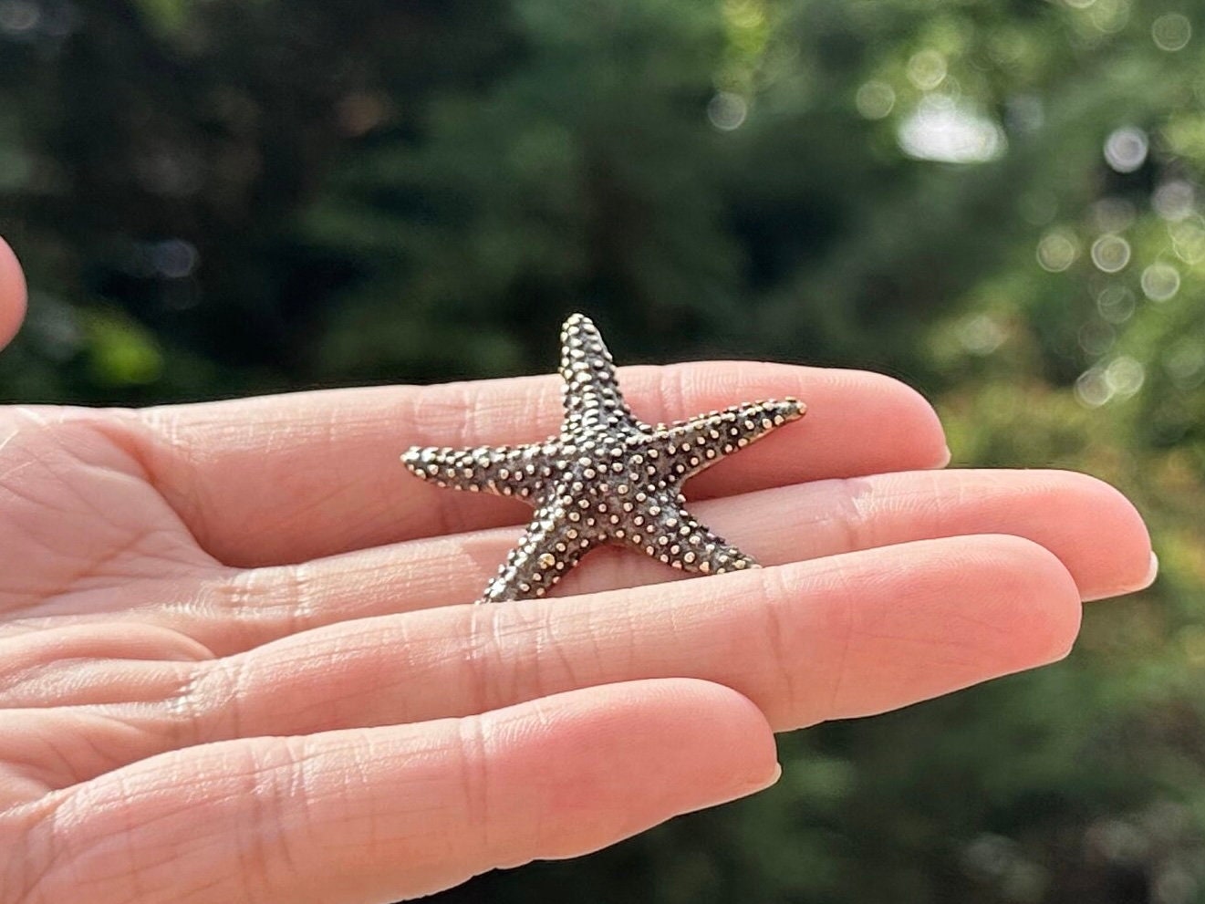 Brass starfish antique