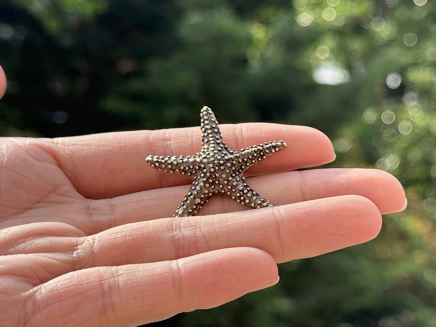 Brass starfish antique