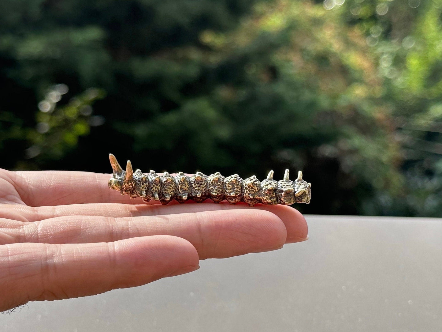 Brass caterpillar antique