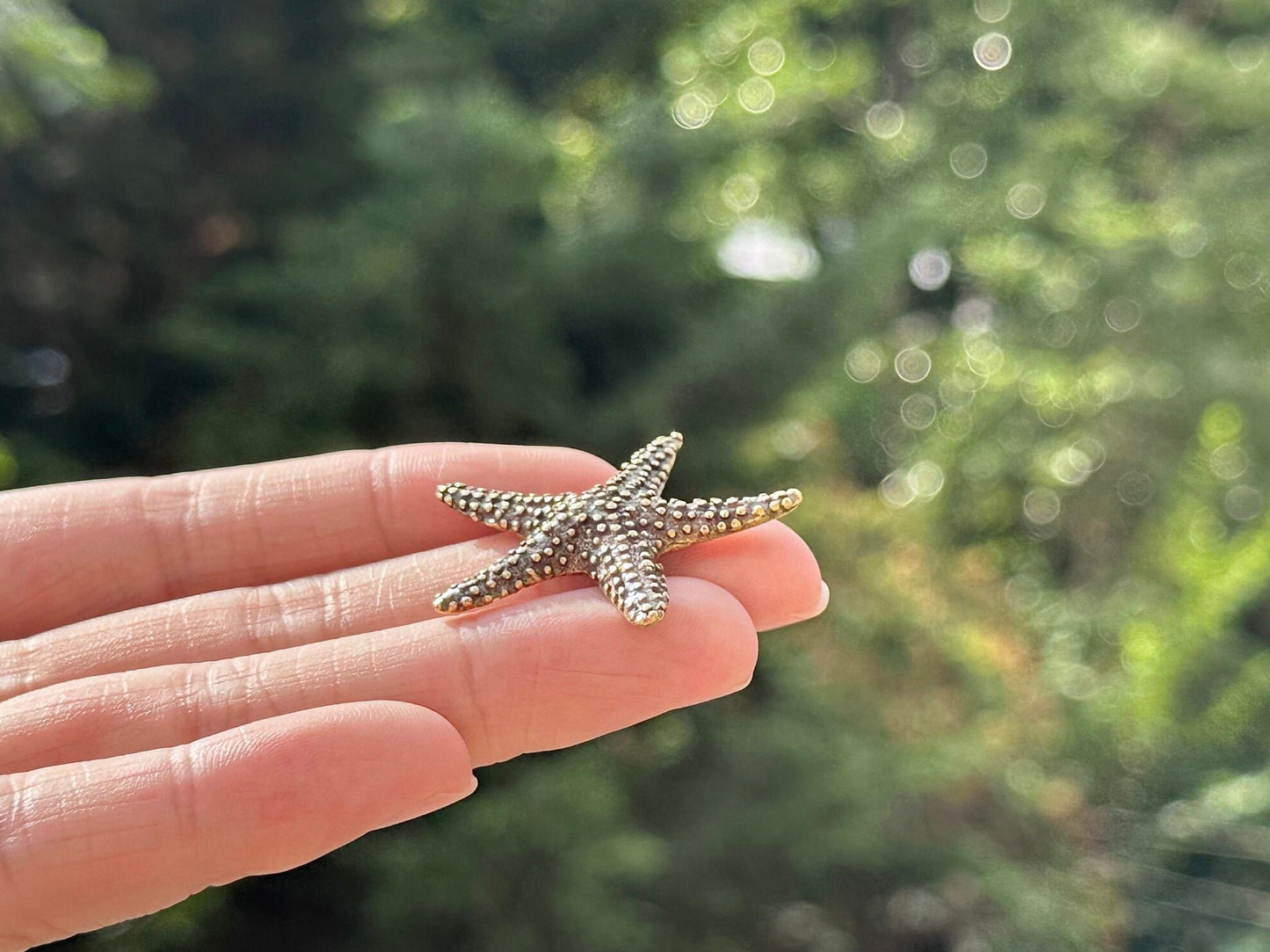 Brass starfish antique